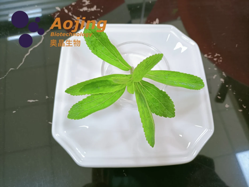 Food Additive Sweetener Stevia Inulin Glycoside Extracted From Stevia Rebaudiana Ra95%